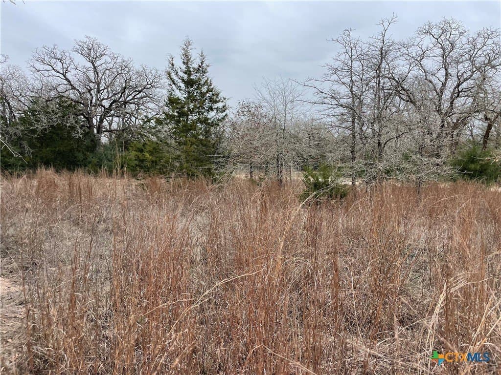 13.14 acres in Caldwell County - photo 5