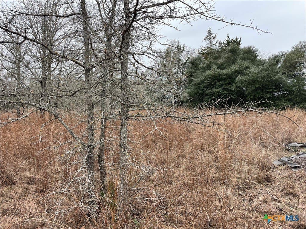 13.14 acres in Caldwell County - photo 2