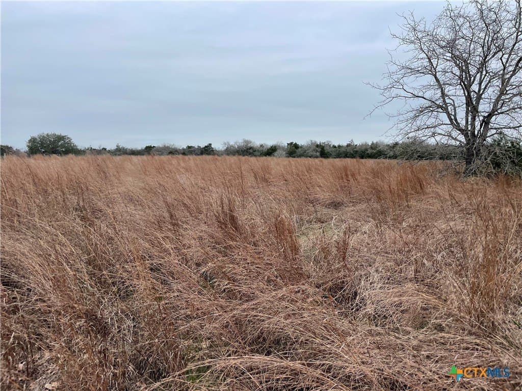 13.14 acres in Caldwell County - photo 6