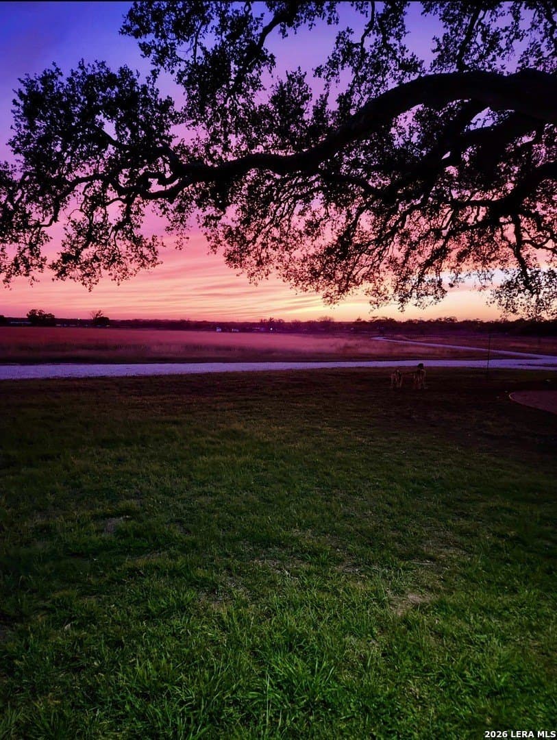 20 acres in Atascosa County - photo 12