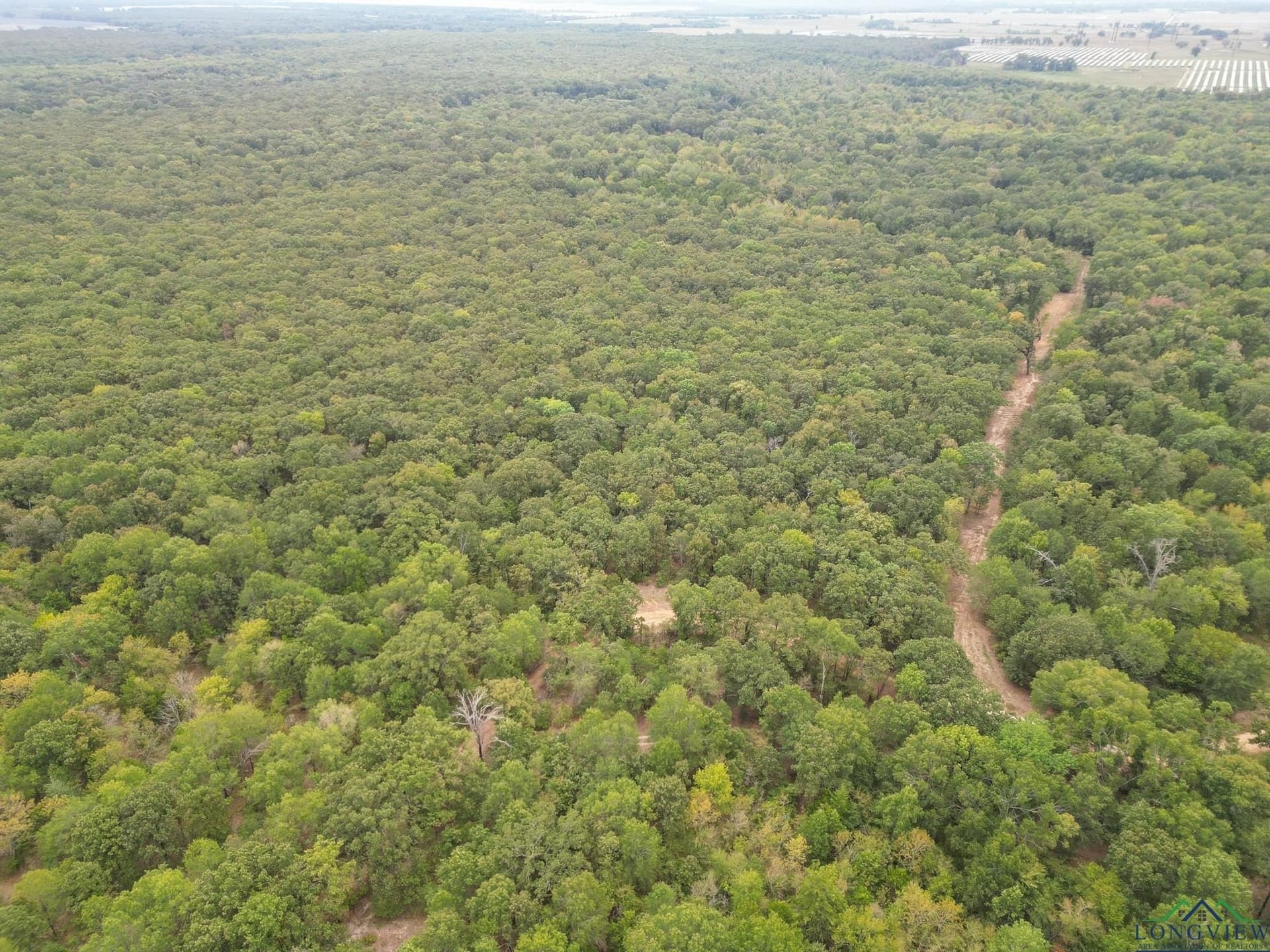 31.59 acres in Texas County - photo 3