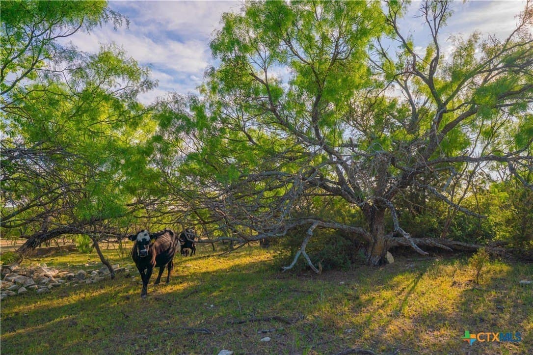 665 acres in Lampasas County - photo 33