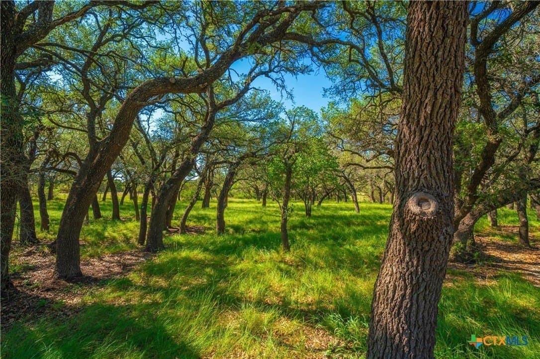 665 acres in Lampasas County - photo 40