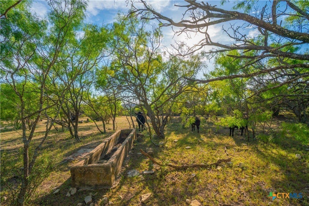 665 acres in Lampasas County - photo 31