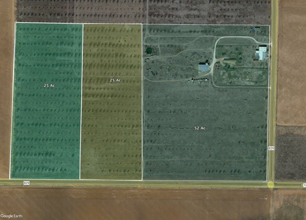 52 acres in Dawson County - photo 3