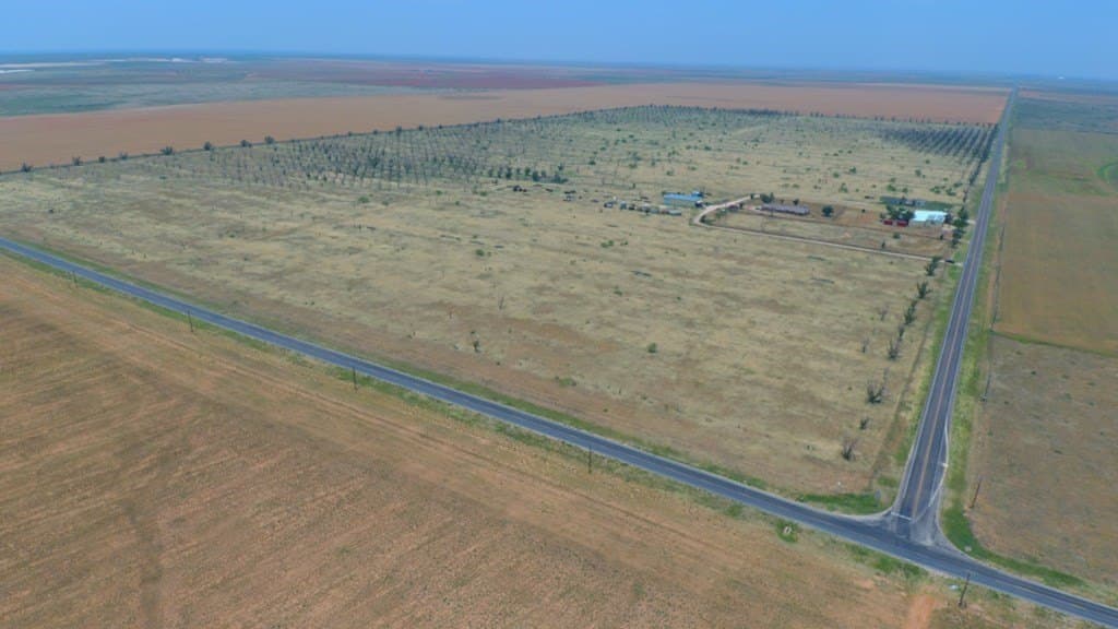 52 acres in Dawson County - photo 48