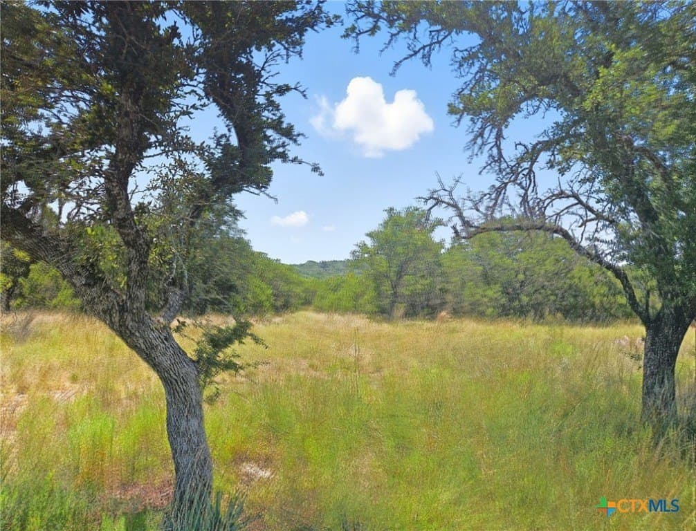 10.01 acres in Hamilton County - photo 3