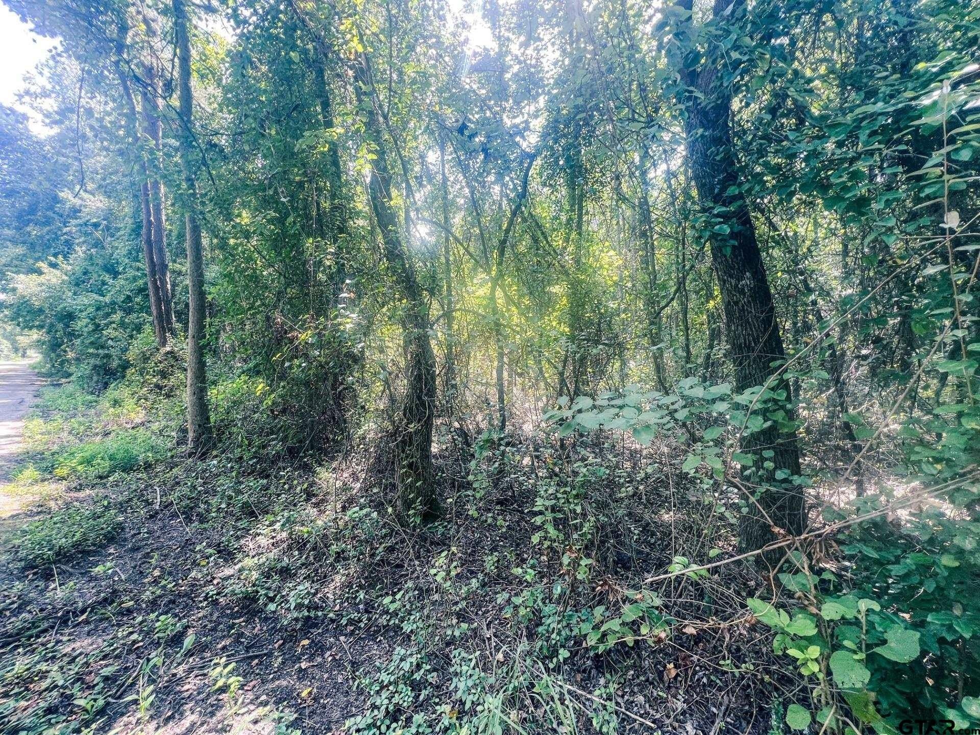58 acres in Camp County - photo 2