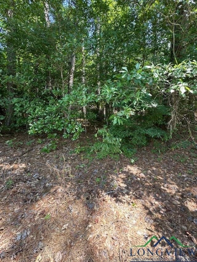 1.87 acres in Gregg County - photo 11