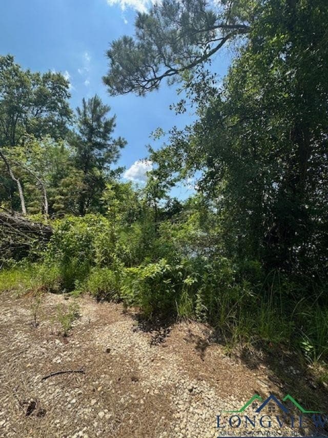 1.87 acres in Gregg County - photo 15