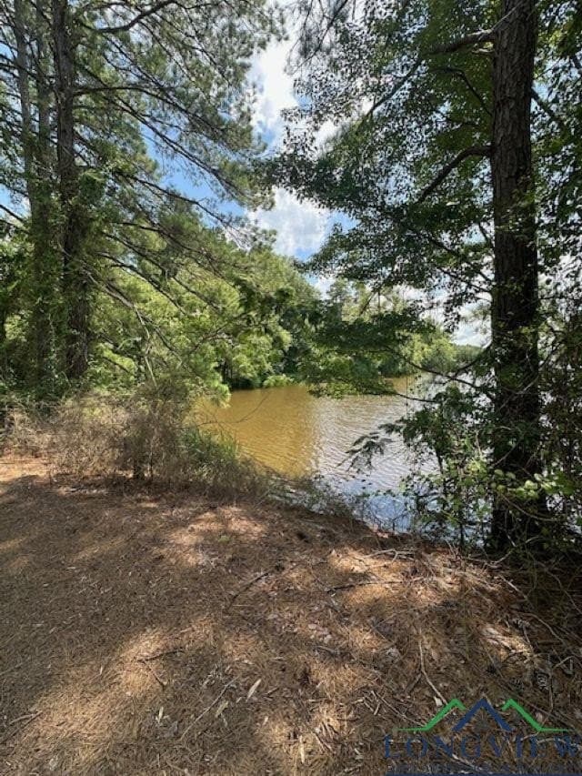 1.87 acres in Gregg County - photo 4