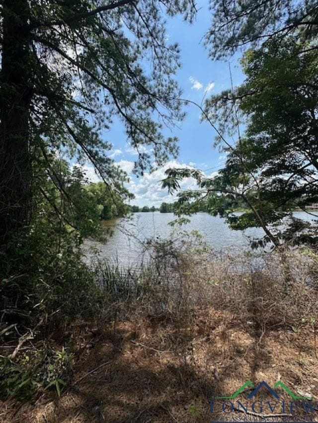 1.87 acres in Gregg County - photo 2