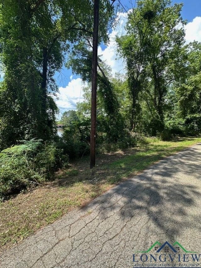 1.87 acres in Gregg County - photo 5