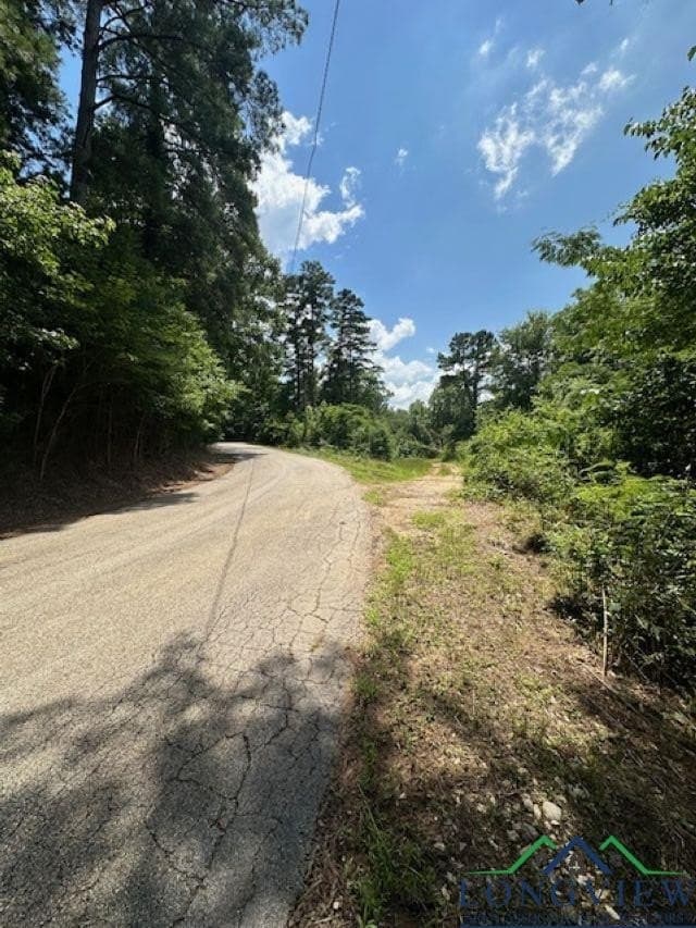 1.87 acres in Gregg County - photo 8