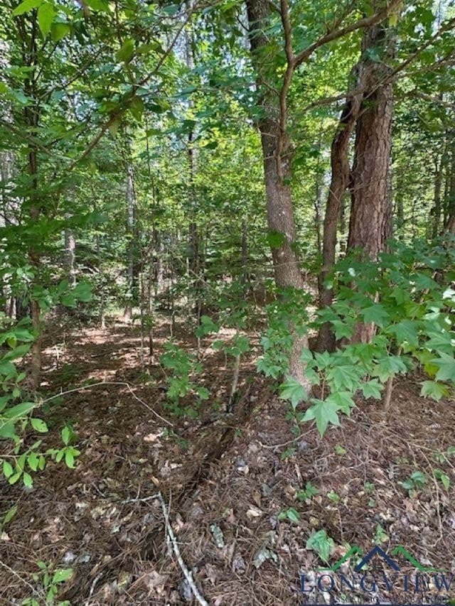 1.87 acres in Gregg County - photo 14