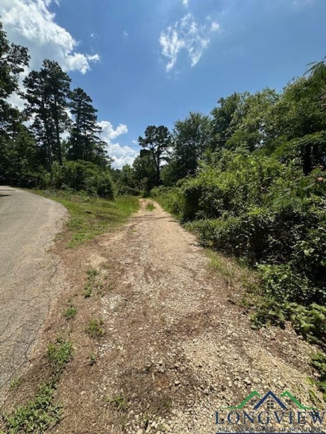 1.87 acres in Gregg County - photo 9