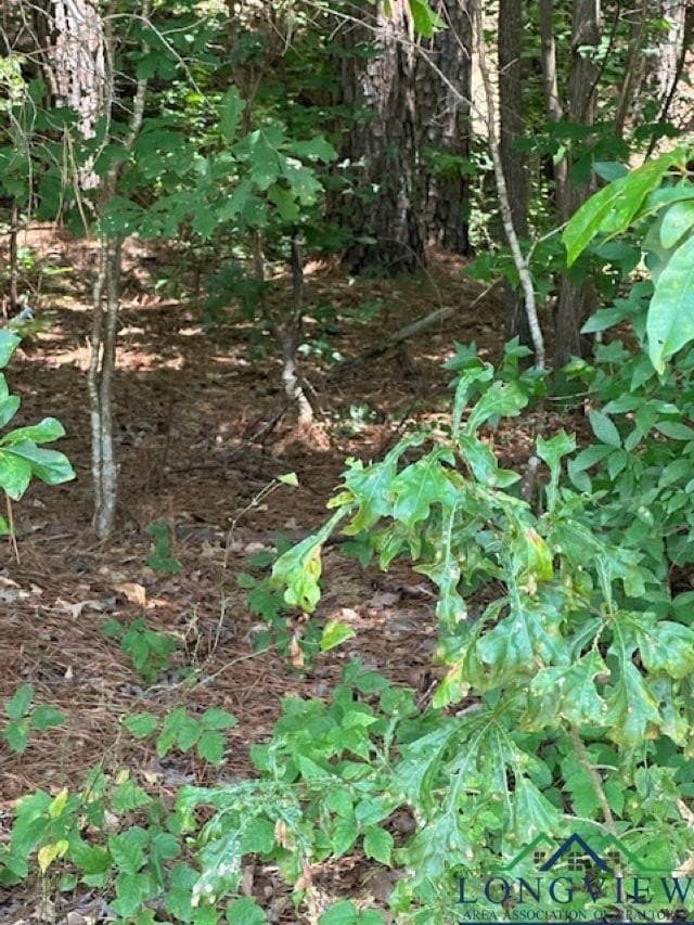 1.87 acres in Gregg County - photo 12