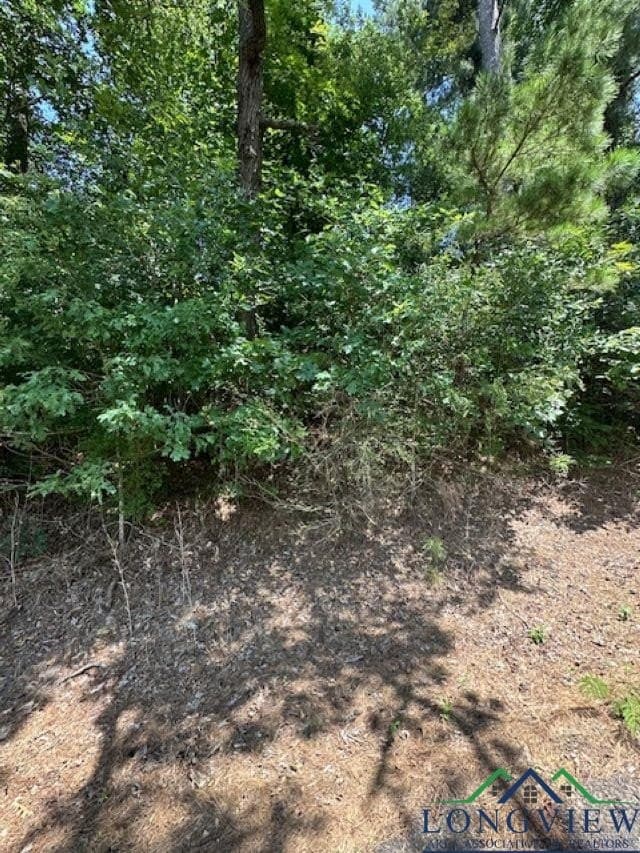 1.87 acres in Gregg County - photo 13