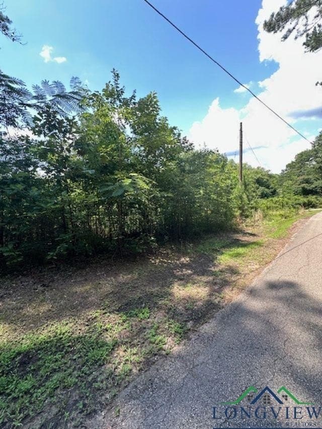 1.87 acres in Gregg County - photo 10