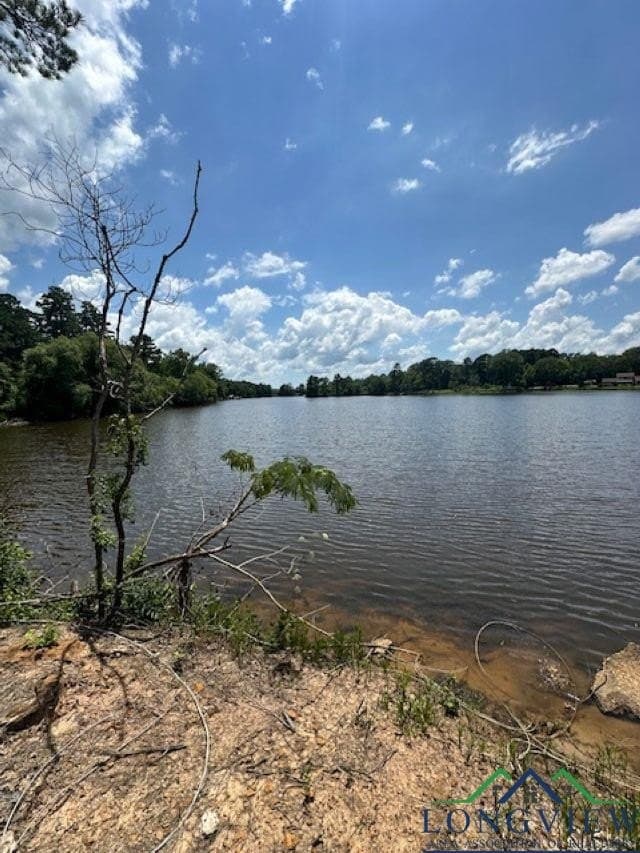 1.87 acres in Gregg County - photo 16