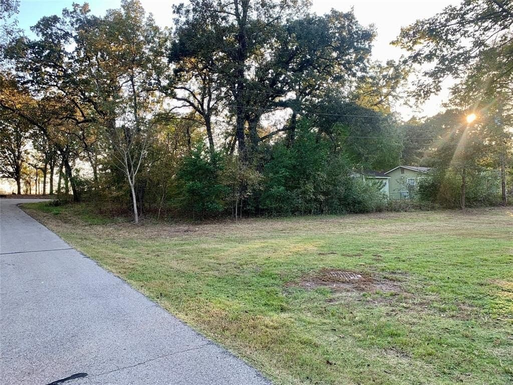 0.11 acres in Henderson County - photo 2