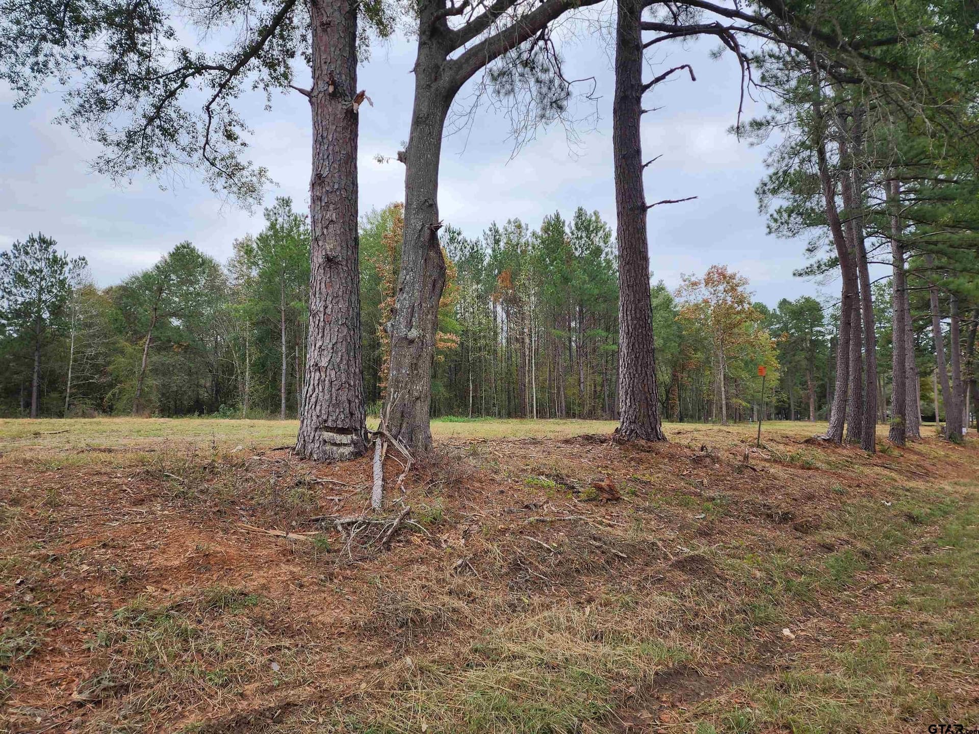 3.04 acres in Smith County - photo 7
