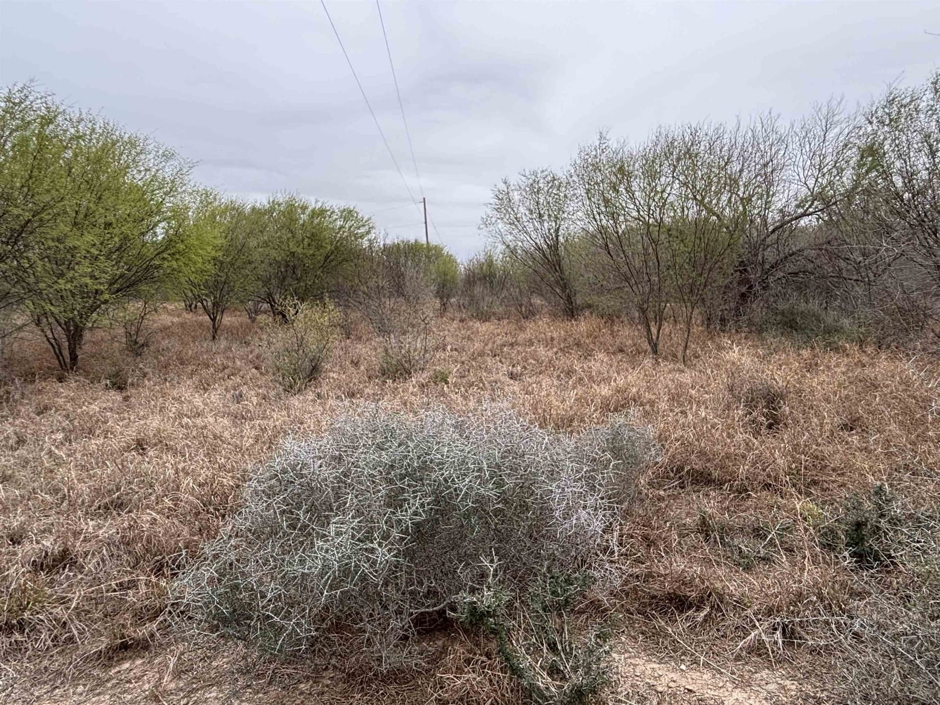 45.43 acres in Zapata County - photo 14