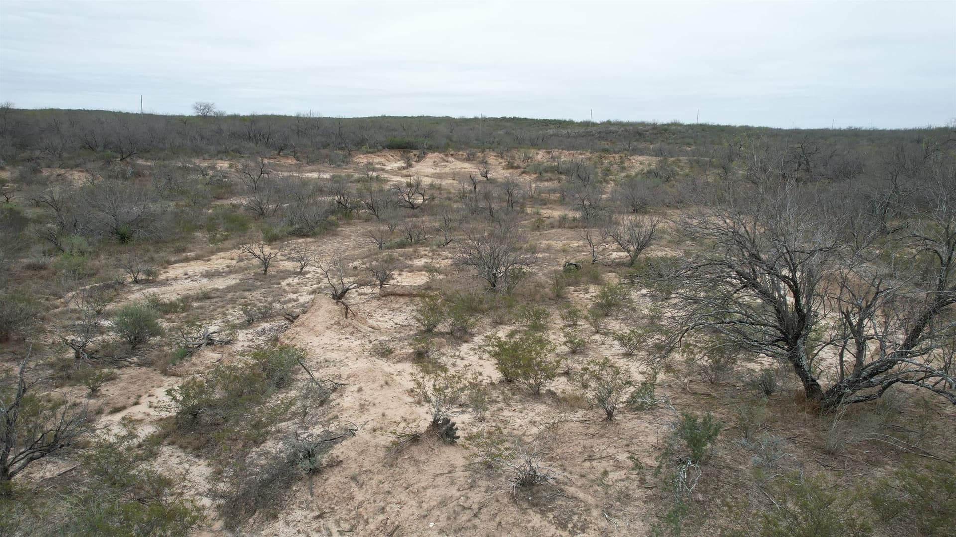 45.43 acres in Zapata County - photo 7