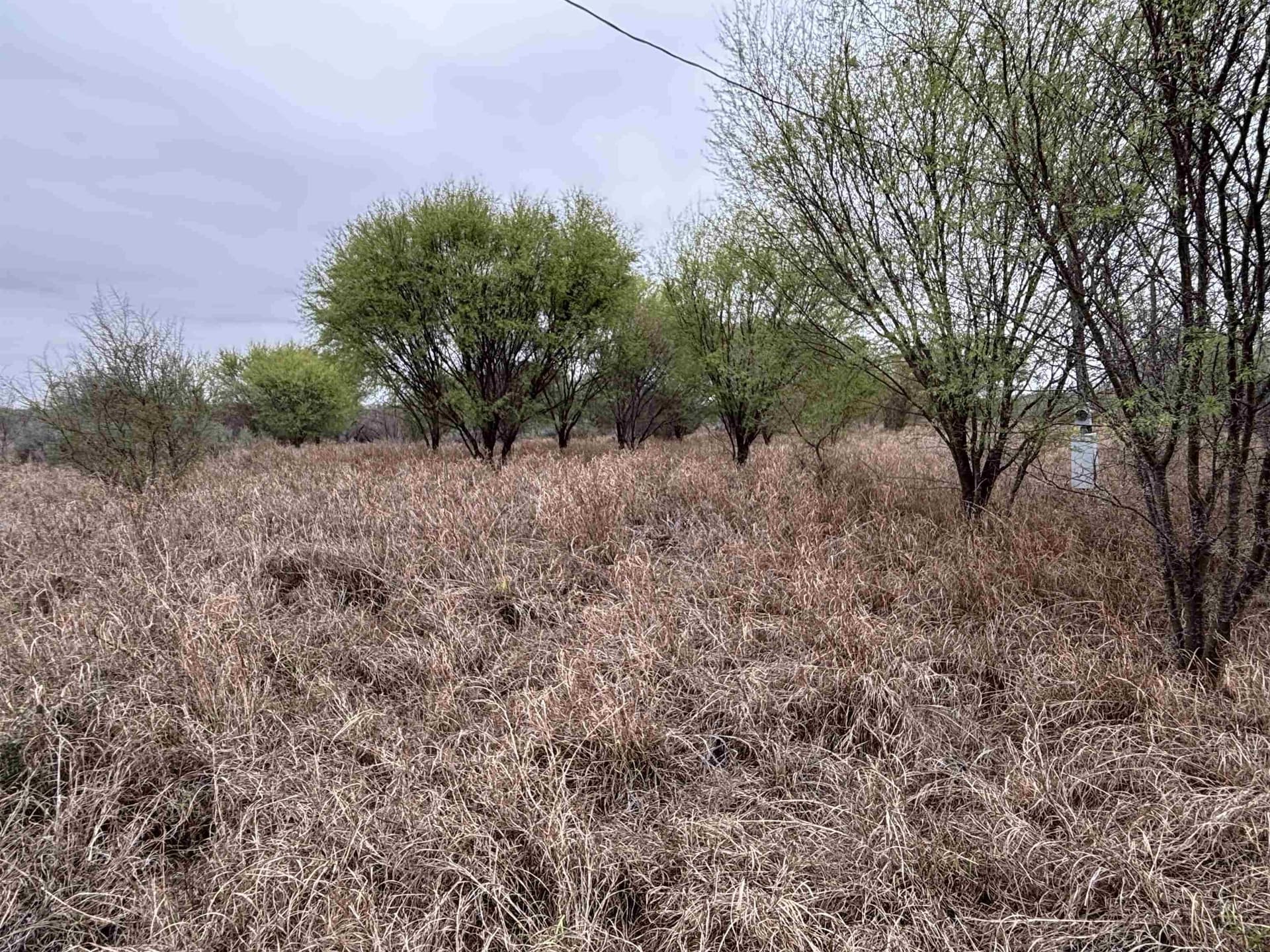 45.43 acres in Zapata County - photo 15