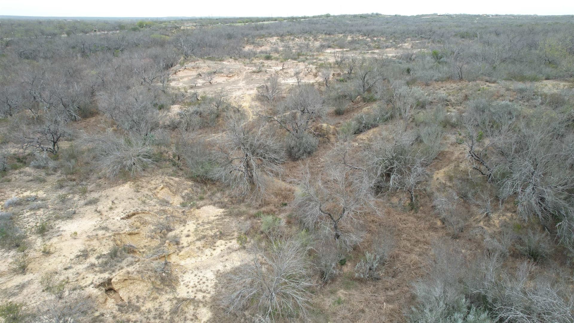 45.43 acres in Zapata County - photo 4