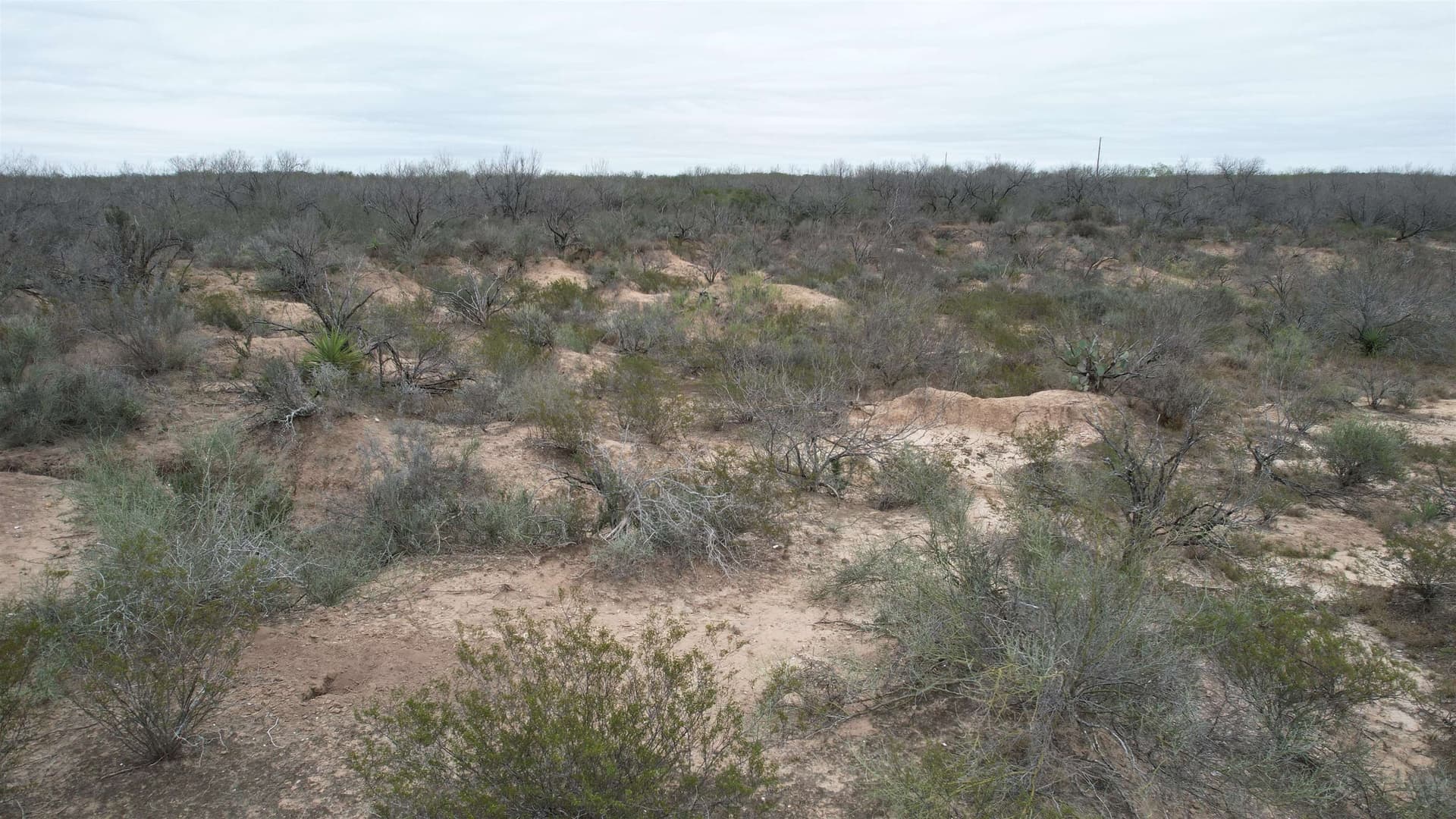 45.43 acres in Zapata County - photo 8