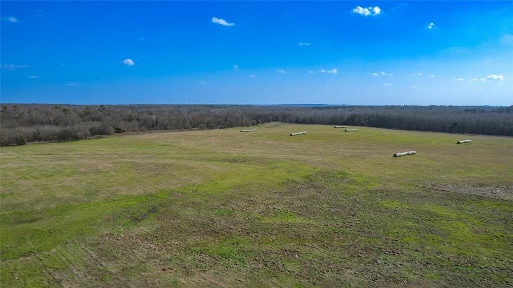 40 acres in Hopkins County - photo 7