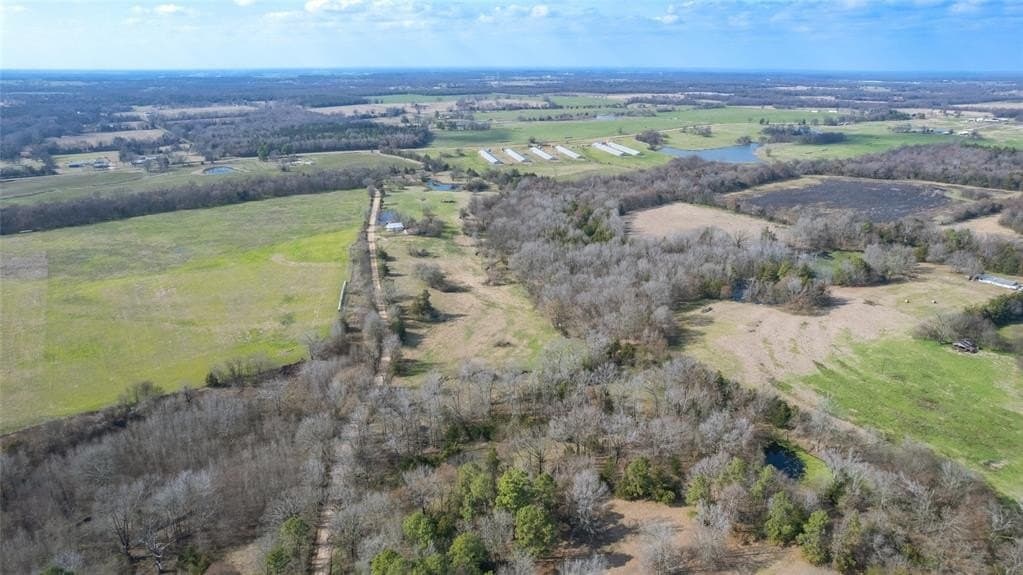 40 acres in Hopkins County - photo 12