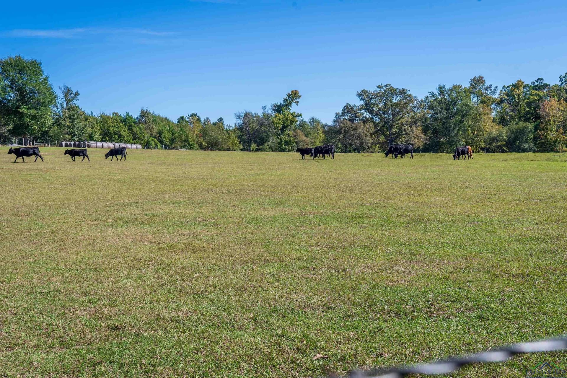 23.28 acres in Gregg County - photo 43