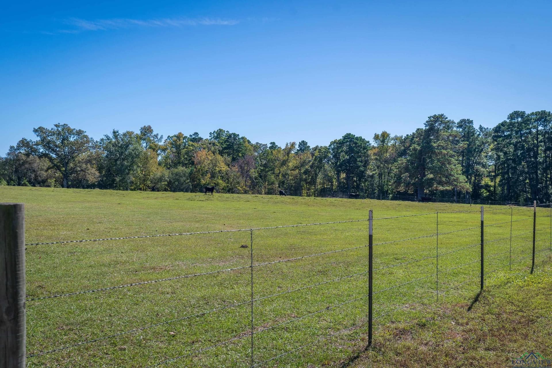 23.28 acres in Gregg County - photo 41