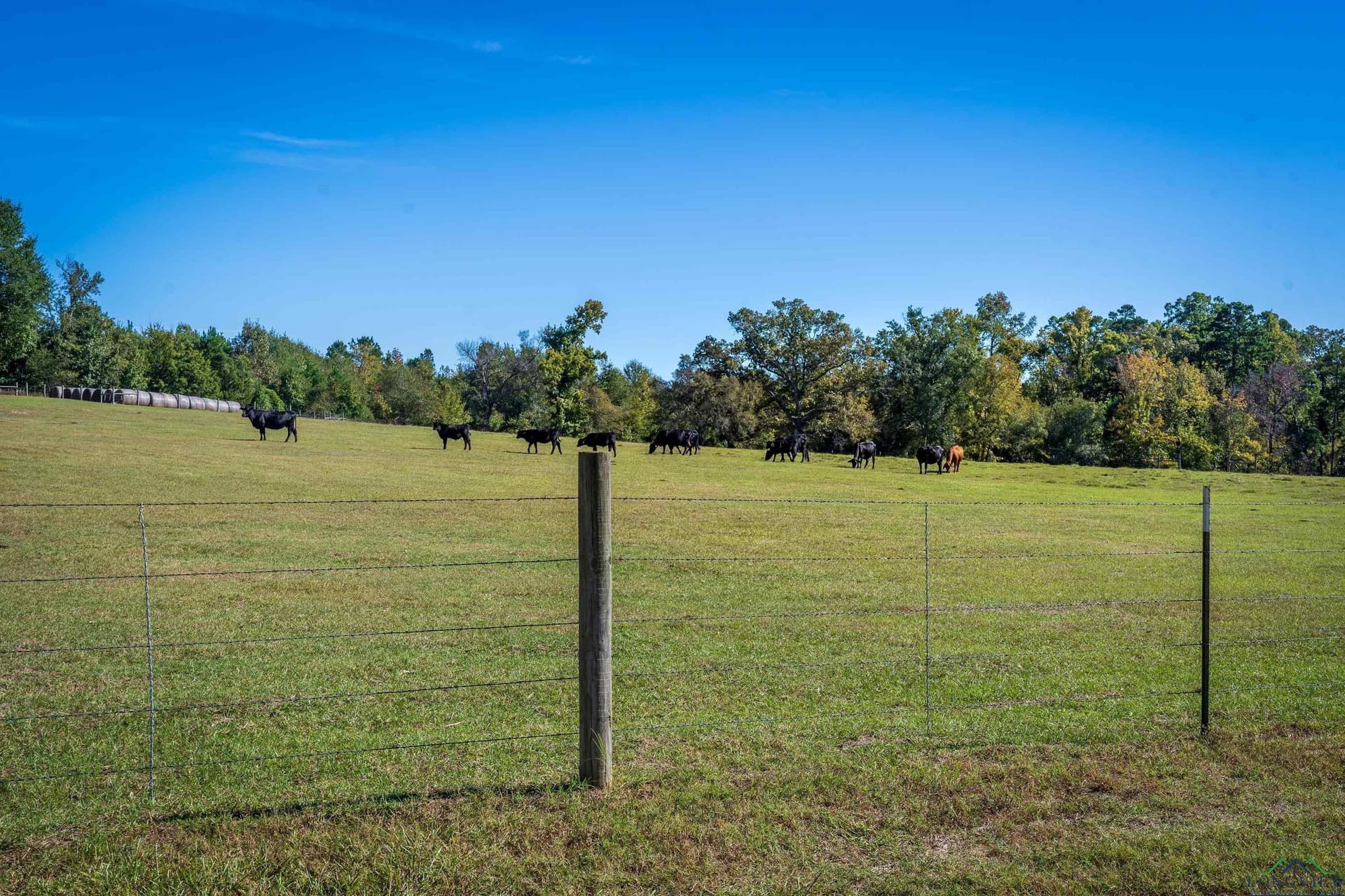 23.28 acres in Gregg County - photo 42