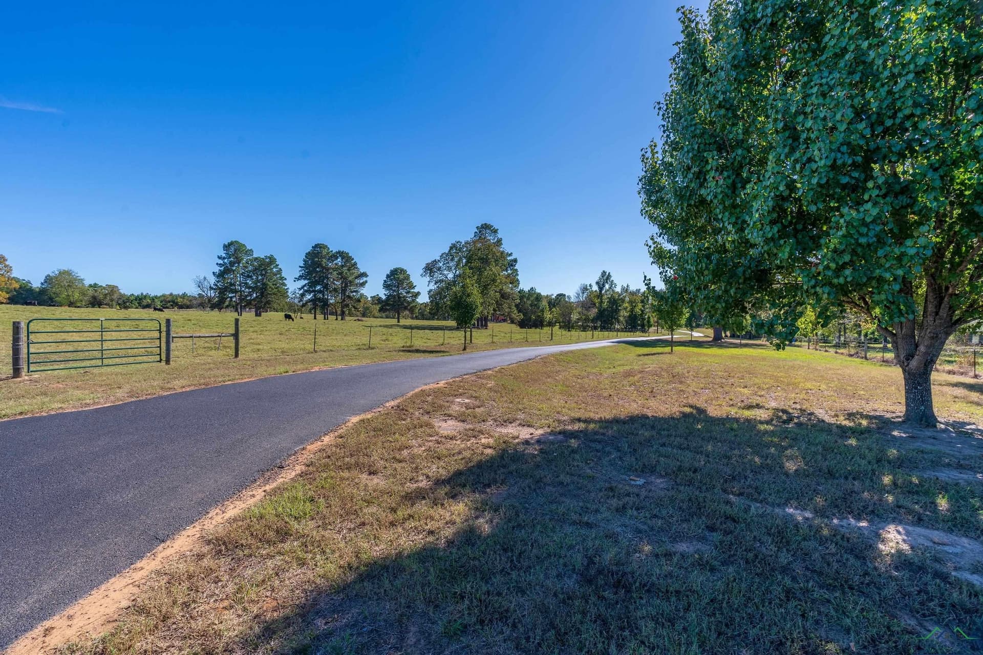 23.28 acres in Gregg County - photo 38