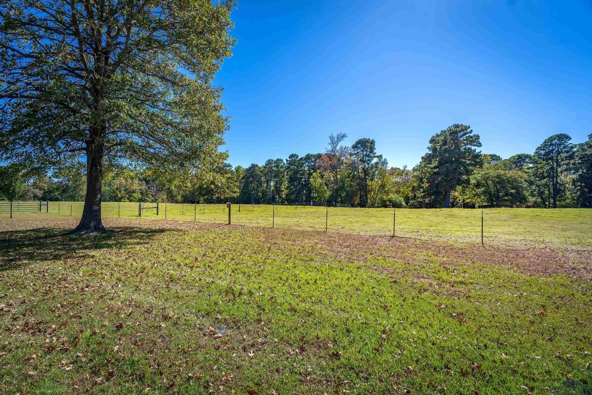 23.28 acres in Gregg County - photo 40