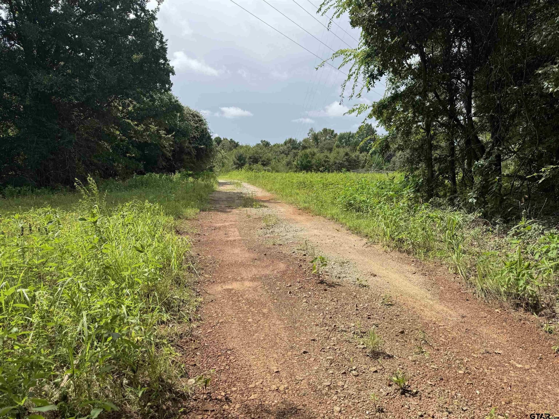 94.8 acres in Cherokee County - photo 6