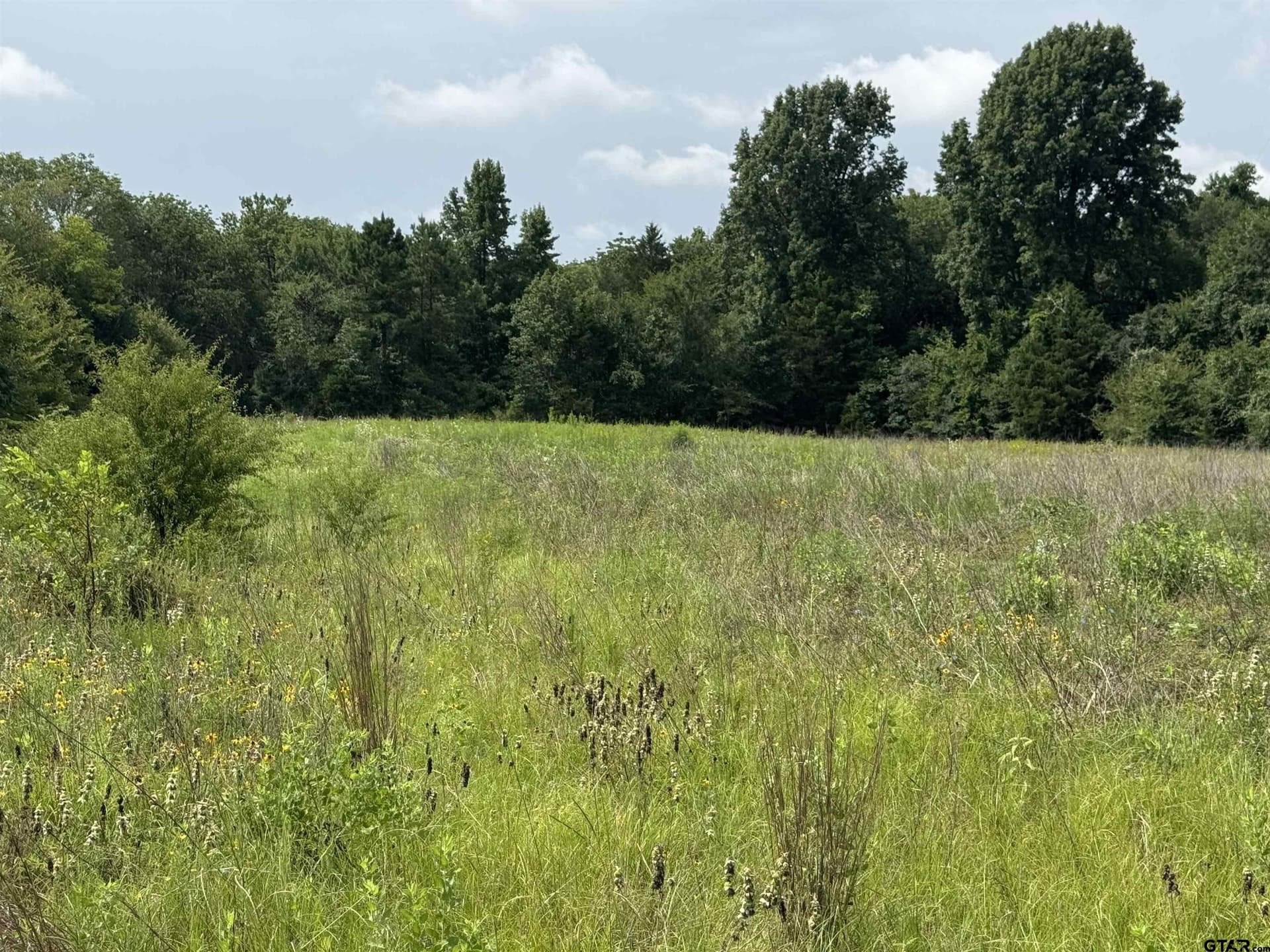 94.8 acres in Cherokee County - photo 5