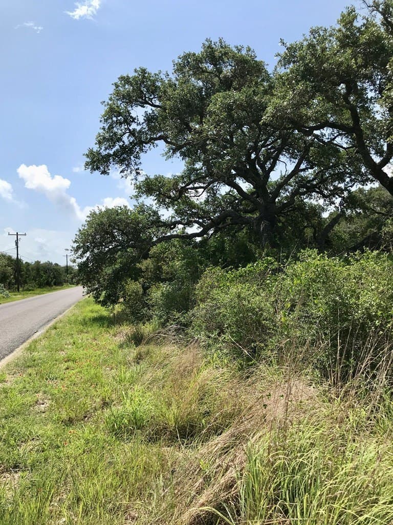 0 acres in Texas County - photo 9