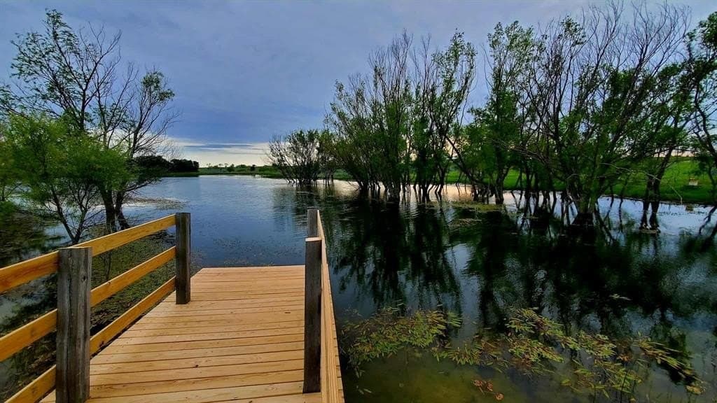 31.29 acres in Ellis County - photo 39