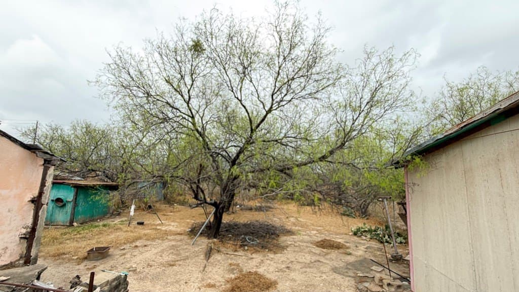 10,487 acres in Maverick County - photo 10