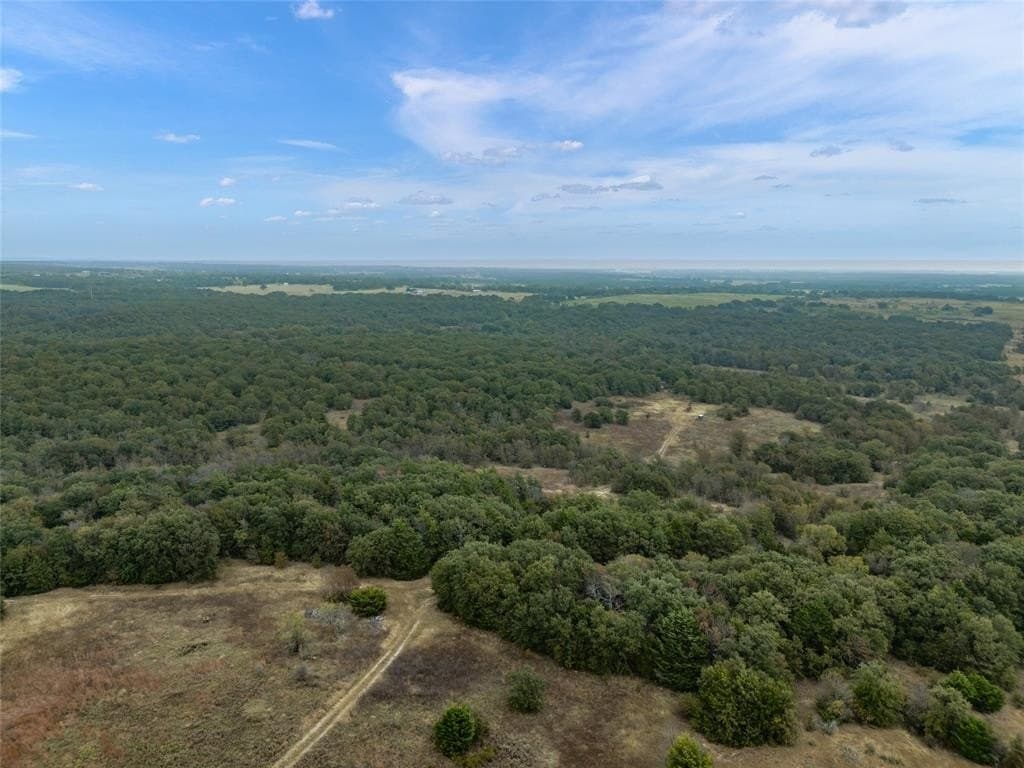 200 acres in Wise County - photo 38