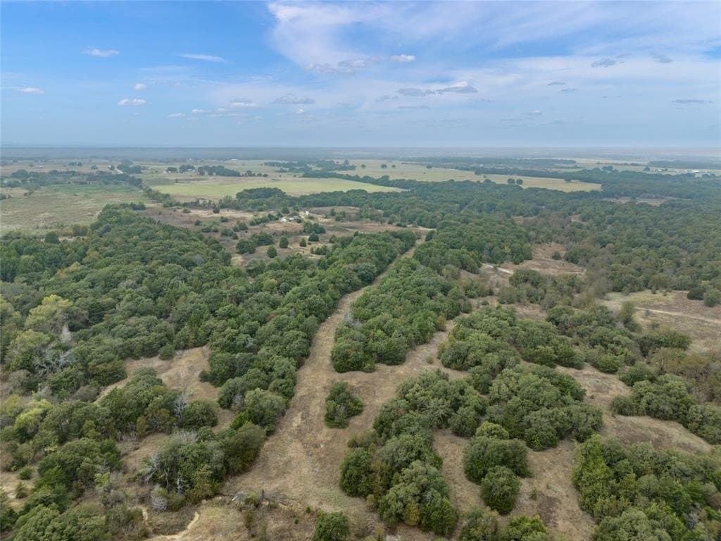 200 acres in Wise County - photo 4