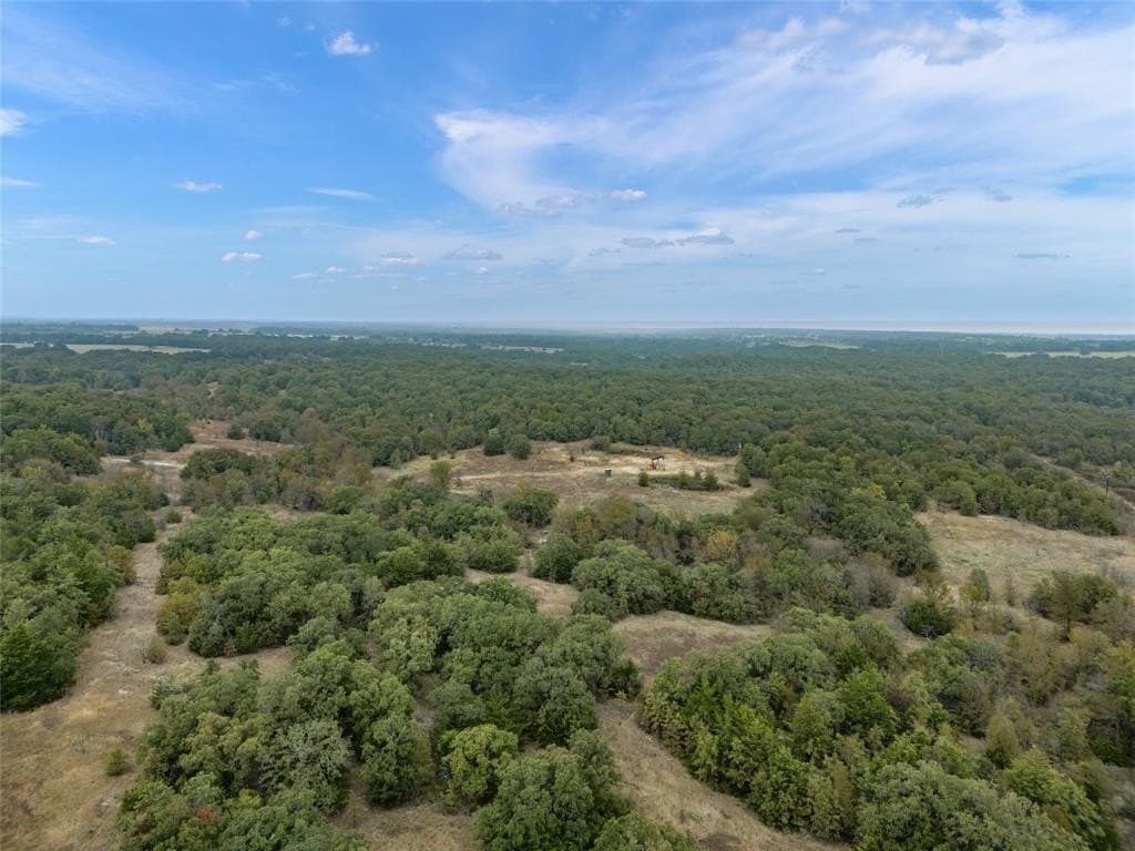 200 acres in Wise County - photo 6