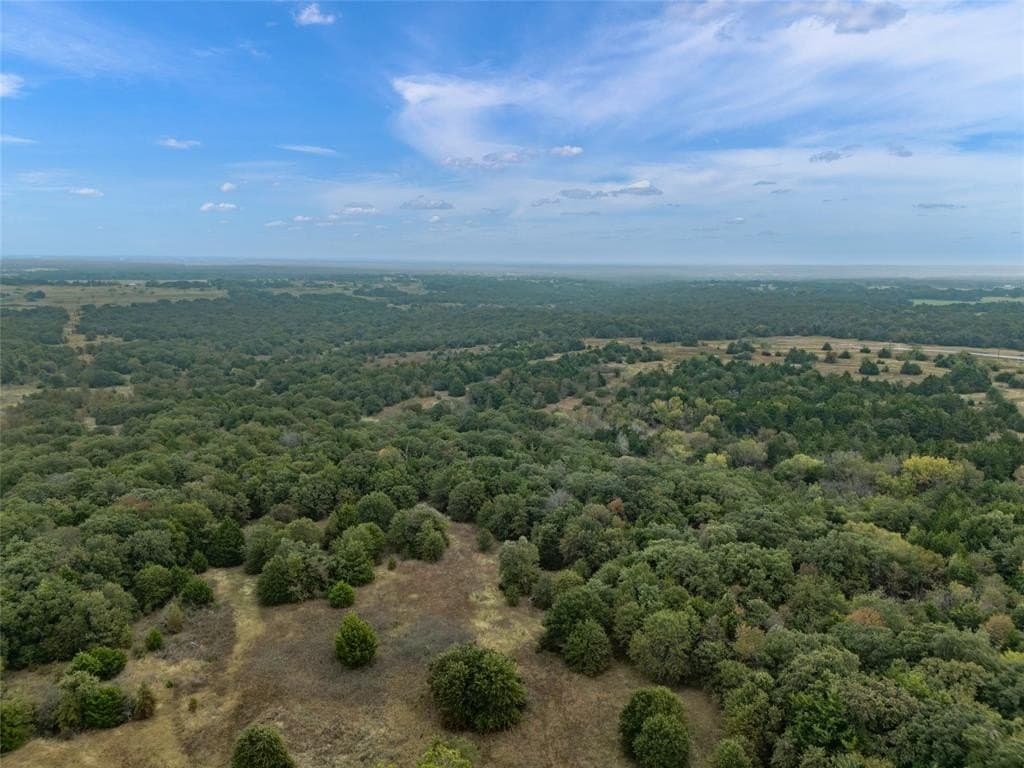 200 acres in Wise County - photo 36
