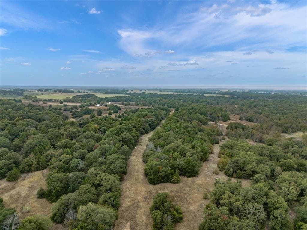200 acres in Wise County - photo 5