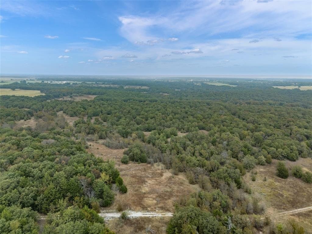 200 acres in Wise County - photo 40