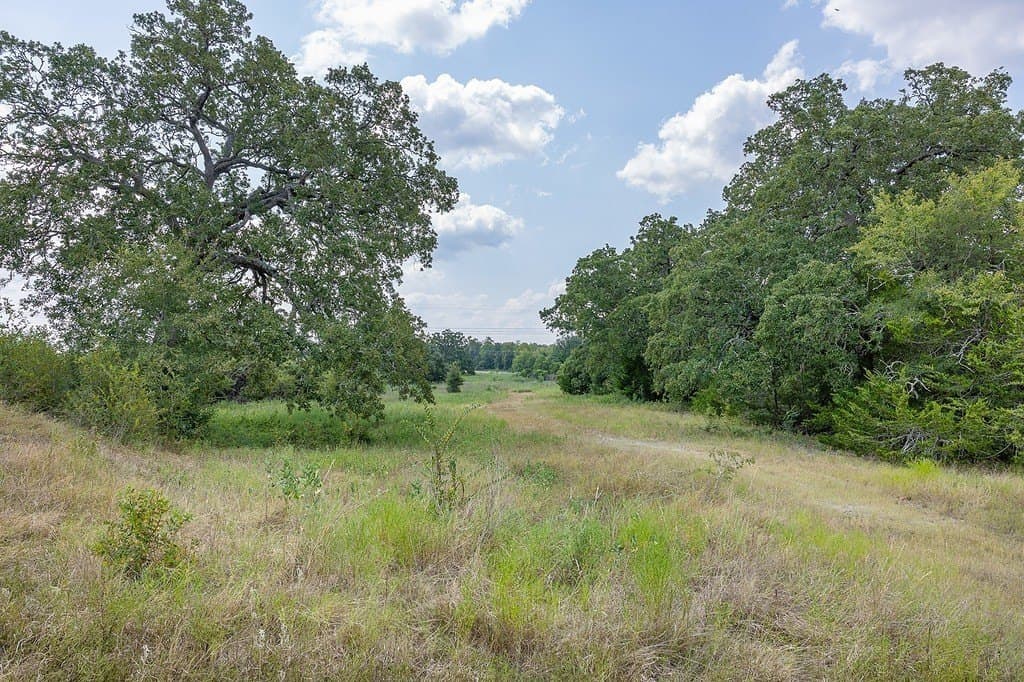 47.8 acres in Fayette County - photo 10